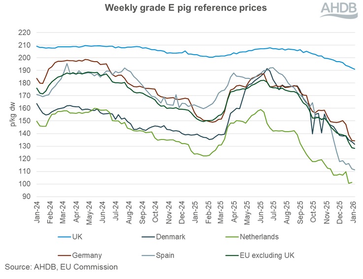 Graph showing EU grade E pig prices 25 January 2026.